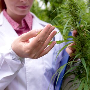 Marijuana joint and cannabis nugget on cannabis leaf